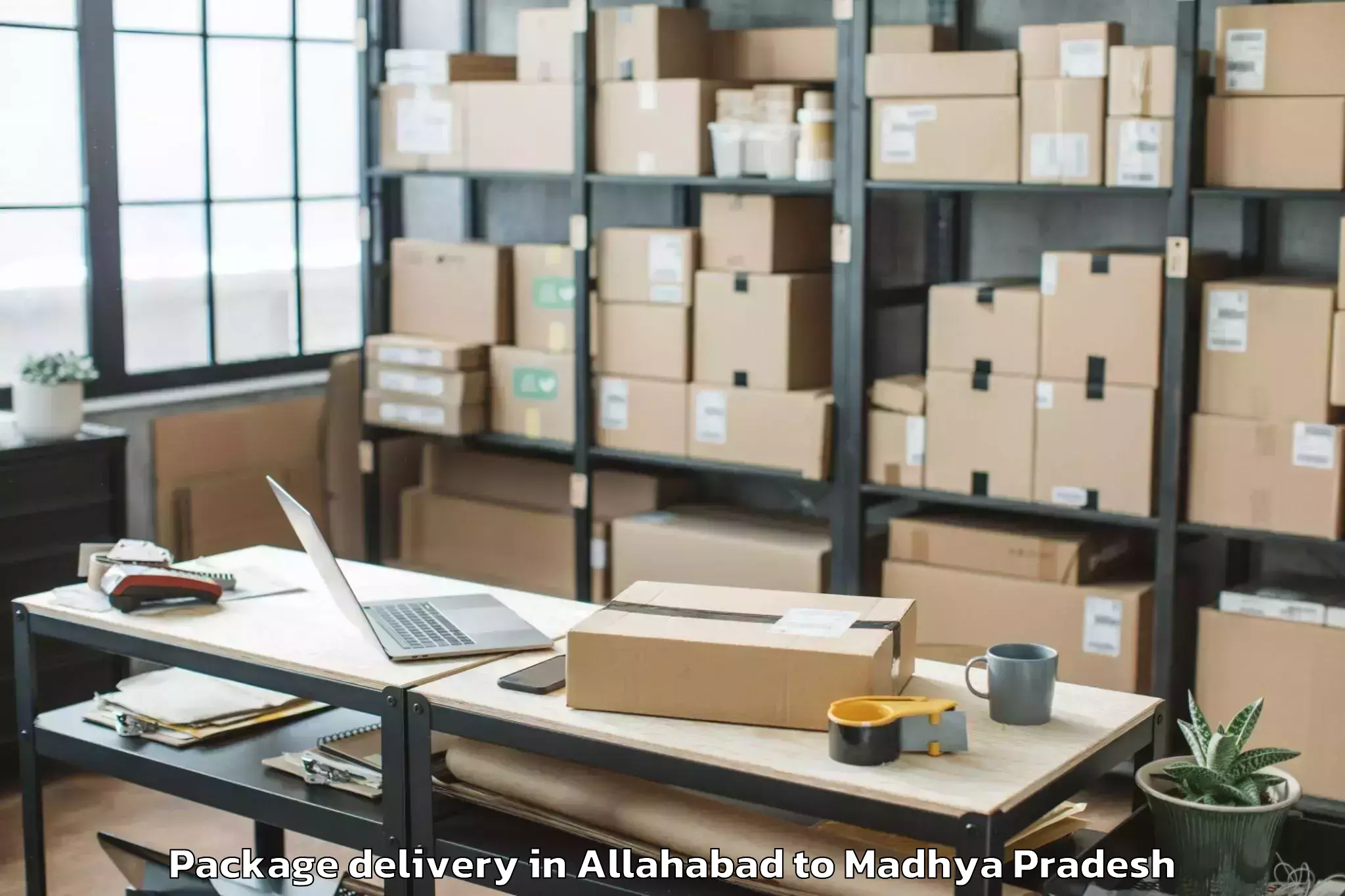 Top Allahabad to Bhopal Airport Bho Package Delivery Available